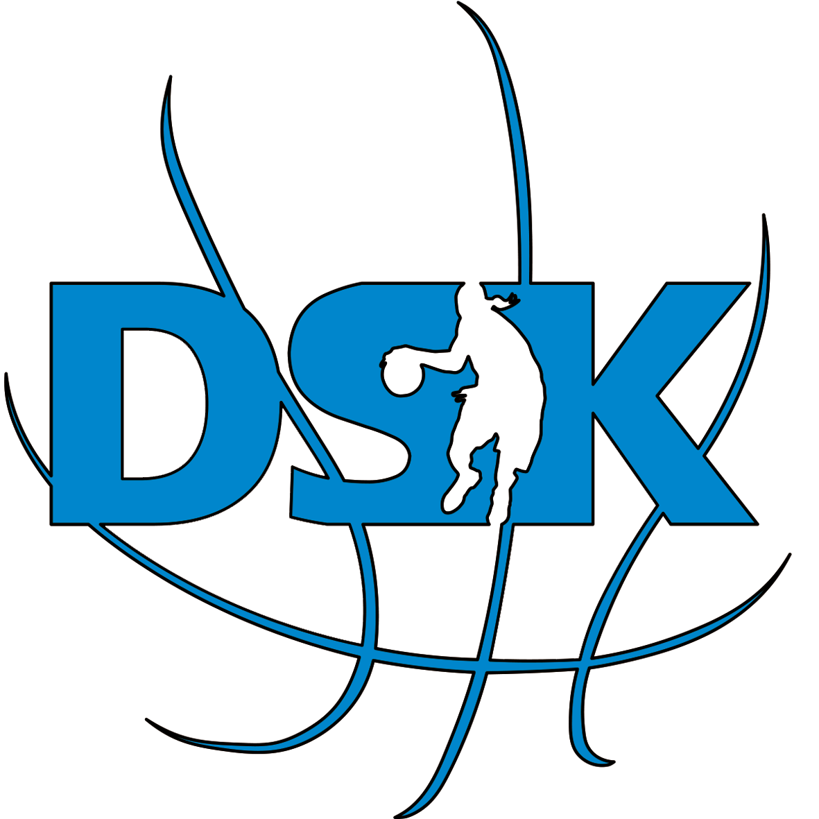 DSK Basketball Brandýs